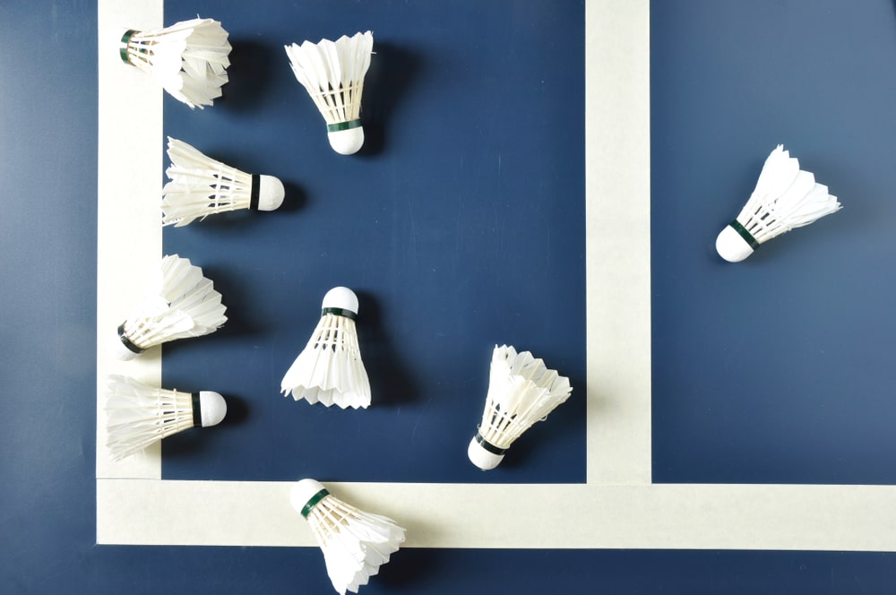 Volants badminton en gros